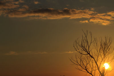 Low angle view of silhouette tree against sunset sky