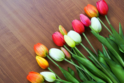 High angle view of multi colored tulips on table