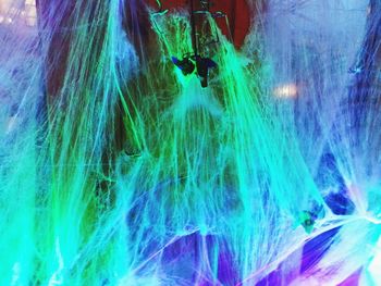 Close-up of tree against blue sky