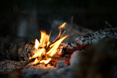 Close-up of bonfire at night