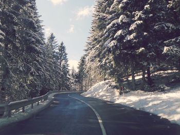 Road amidst trees against sky