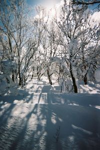 cold temperature