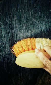 Cropped hand with brush cleaning horse mane