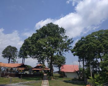 Trees and houses on field against sky