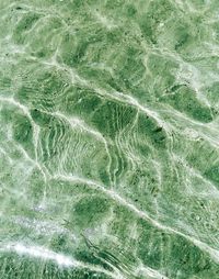 Full frame shot of agricultural field