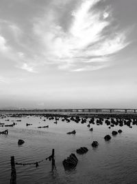 People on beach against sky