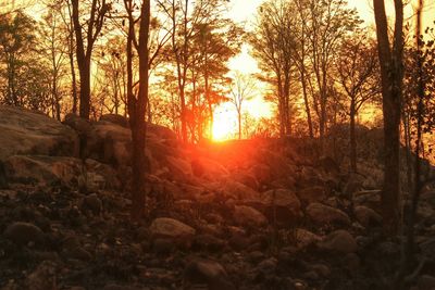 Scenic view of landscape at sunset