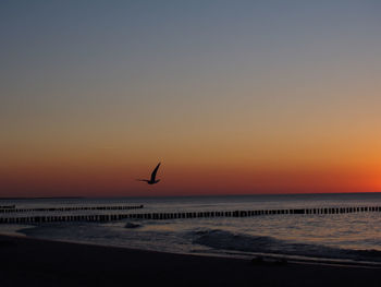 Silhouette bird flying over sea against sky during sunset