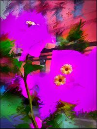 Close-up of pink flowers