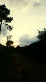 Silhouette of trees against cloudy sky