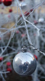 Close-up of christmas decorations hanging on tree