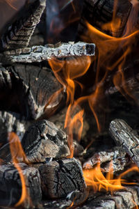 Close-up of firewood
