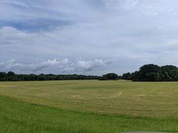 Scenic view of field against sky