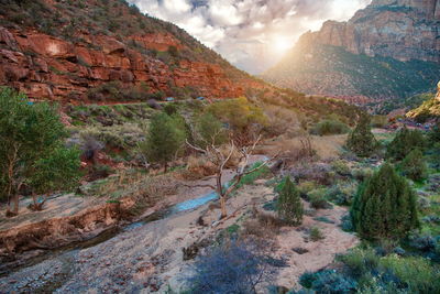 Scenic view of landscape and mountains against sky