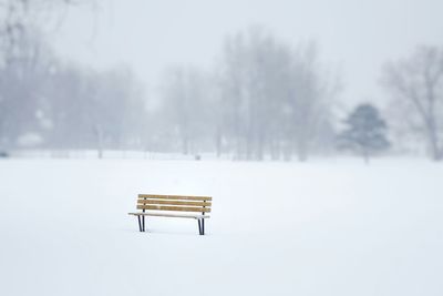 Empty bench in park