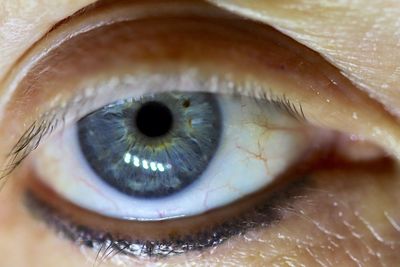 Close-up of human eye