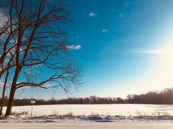 Bare trees on snow covered landscape against blue sky