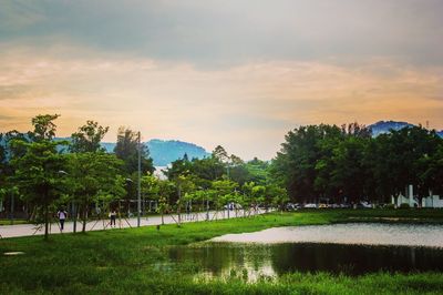 Scenic view of trees on landscape against sky