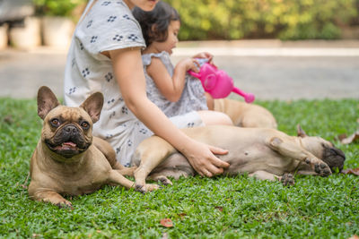 French bulldog sitting with her owner at garden.