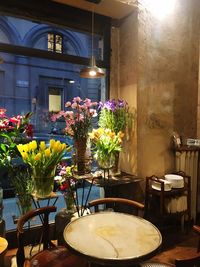 Potted plant on table by building