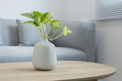 Close-up of vase on table at home