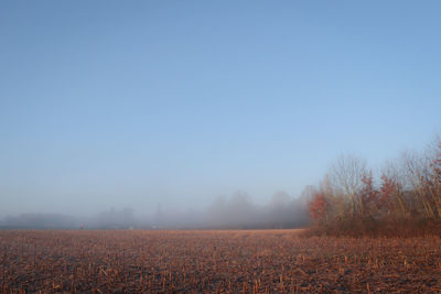 Scenic view of field against clear sky