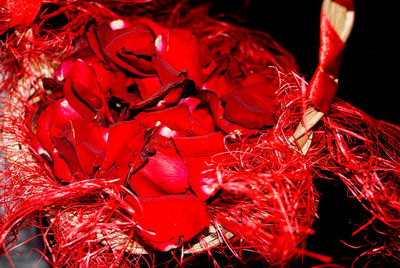 Close-up of red chili peppers on plant