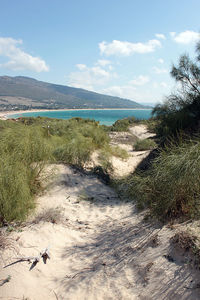 Scenic view of beach against sky