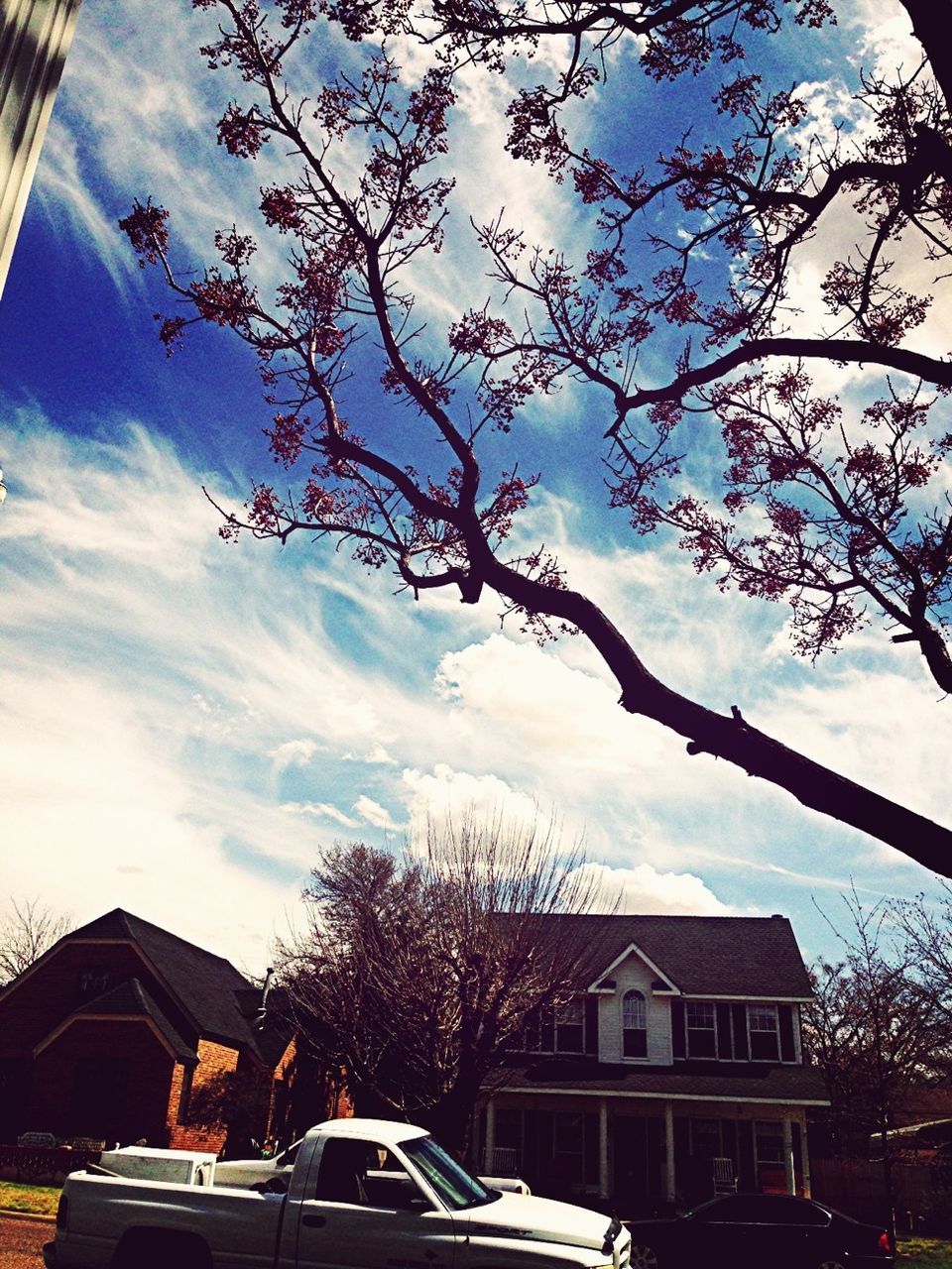 building exterior, tree, architecture, built structure, sky, bare tree, car, branch, transportation, land vehicle, house, mode of transport, residential building, cloud - sky, residential structure, city, low angle view, street, building, day