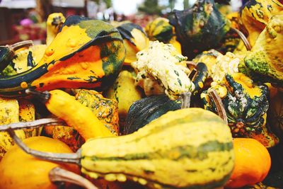 Close-up of vegetables in plate