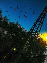 Low angle view of birds flying against blue sky