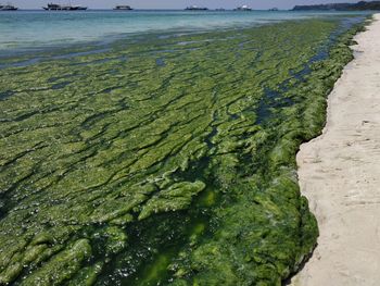 High angle view of sea shore