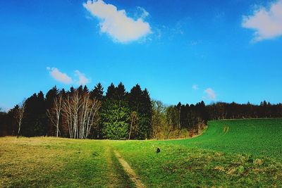 Scenic view of grassy field against cloudy sky