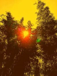Low angle view of trees against sky during sunset