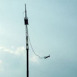 Low angle view of bird perching against sky