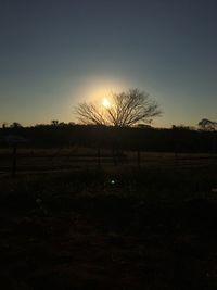 Silhouette trees on field against sky during sunset