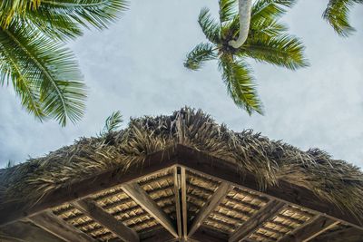 Low angle view of roof by palm trees against sky