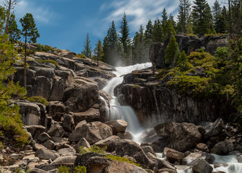 Scenic view of waterfall in forest