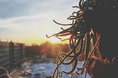 Close-up of potted plant on window sill against sky during sunset