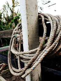 Close-up of rope tied on wooden post