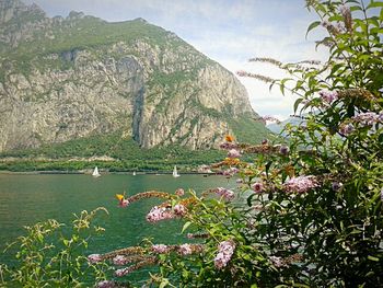 View of lake with mountains in background