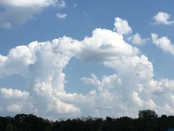 Low angle view of trees against sky