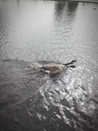 View of water in pond