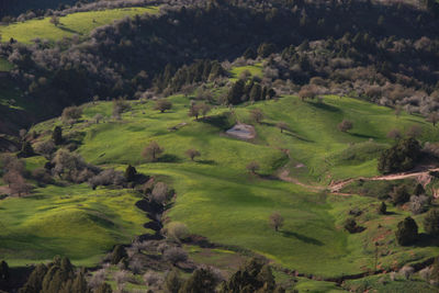 High angle view of green landscape