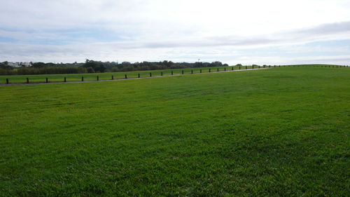 Scenic view of field against sky