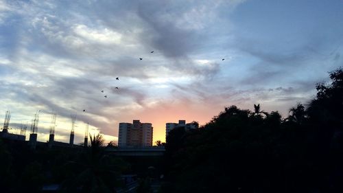 Low angle view of silhouette birds flying against sky