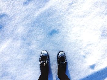 Low section of person in snow