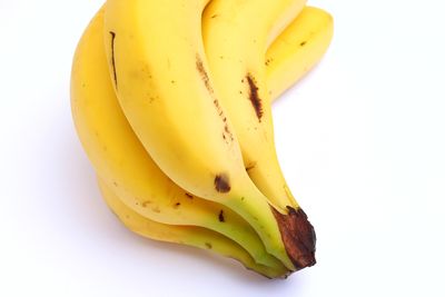 Close-up of yellow fruit against white background