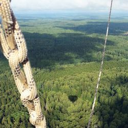 High angle view of trees on landscape against sky