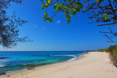 Scenic view of beach against blue sky